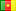 Camarões flag